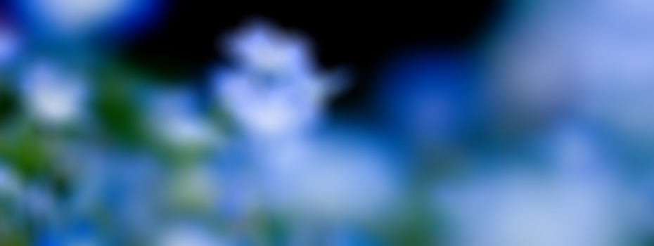 Simplicity Theme by D5 Creation